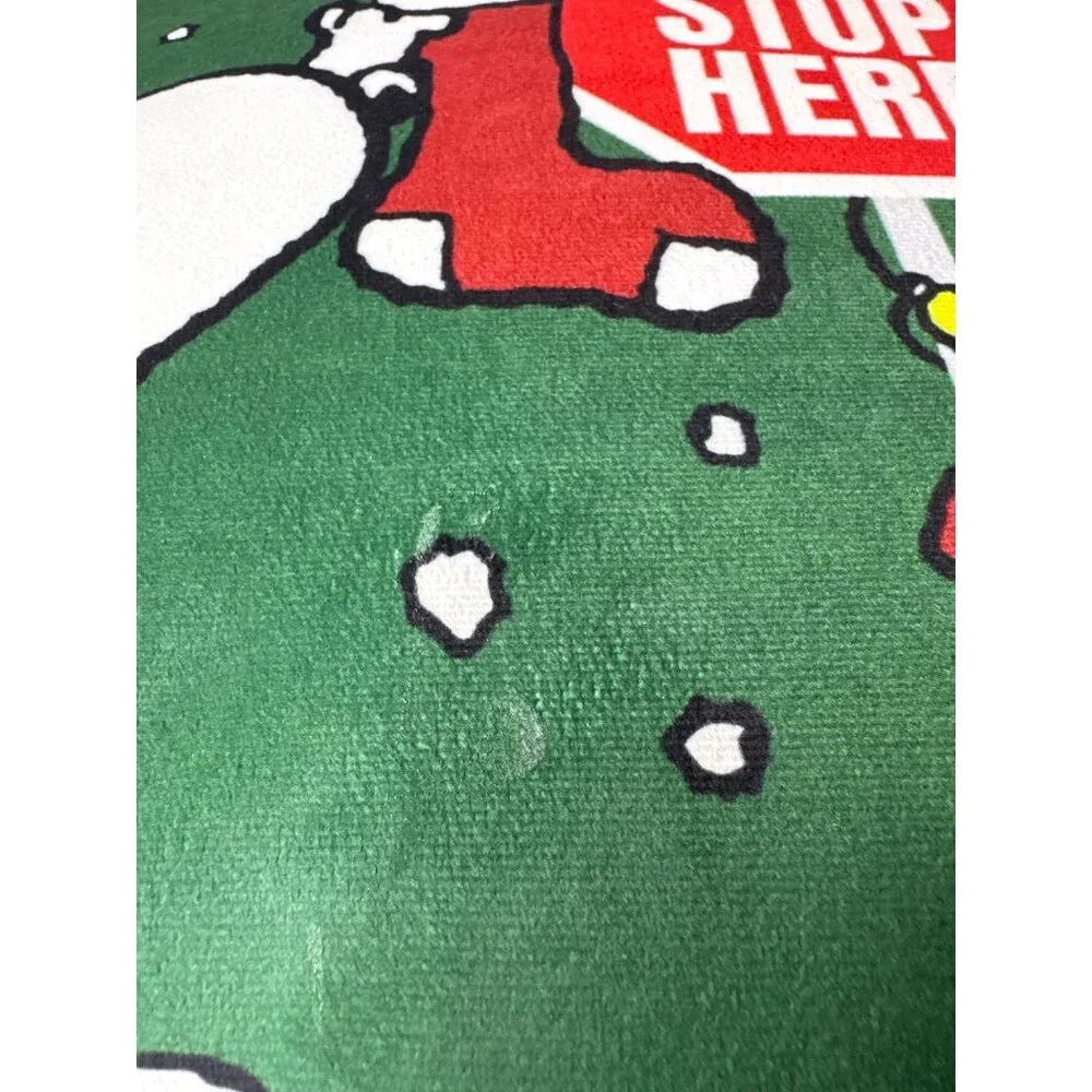 Peanuts Snoopy Christmas Pillow Santa Stop Here 18